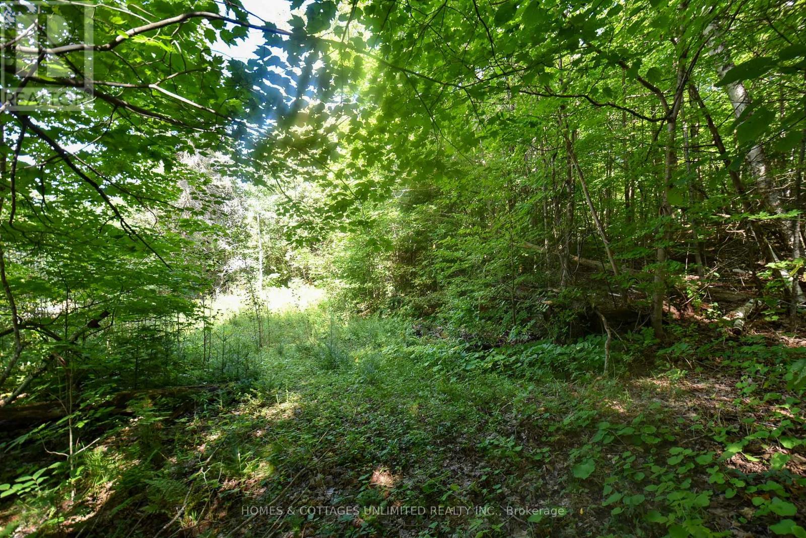 2493 River Road, Frontenac, Ontario K0H 2J0 - Photo 15 - X13726204