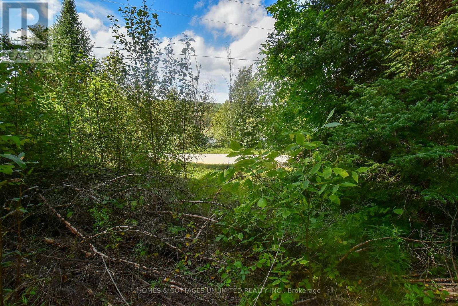 2493 River Road, Frontenac, Ontario K0H 2J0 - Photo 16 - X13726204