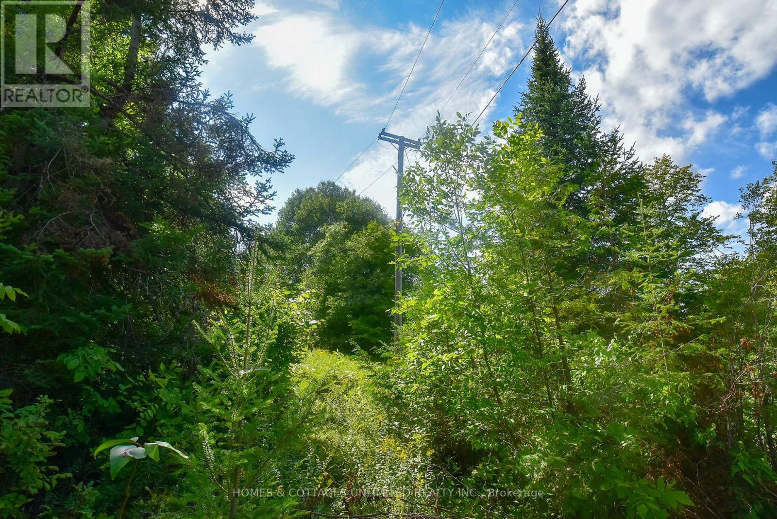 2493 River Road, Frontenac, Ontario K0H 2J0 - Photo 17 - X13726204