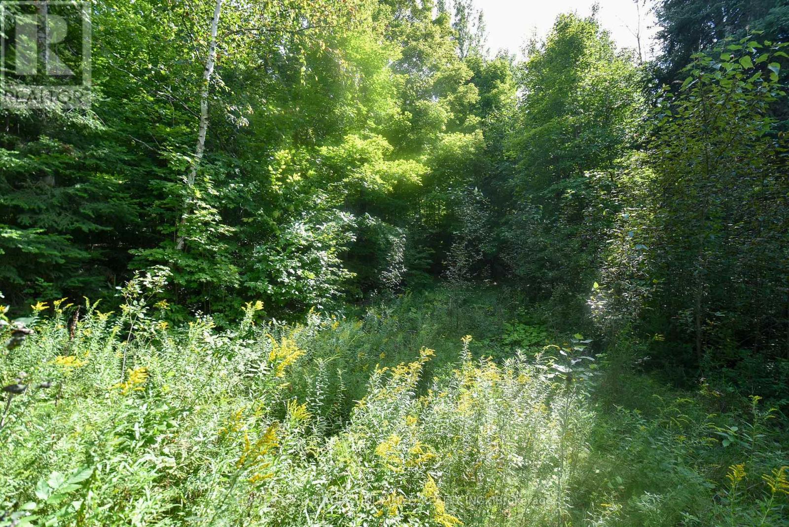 2493 River Road, Frontenac, Ontario K0H 2J0 - Photo 9 - X13726204