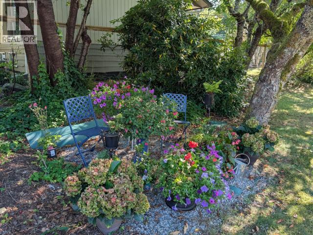 5262 Manson Ave, Powell River, British Columbia  V8A 3P1 - Photo 18 - 20168
