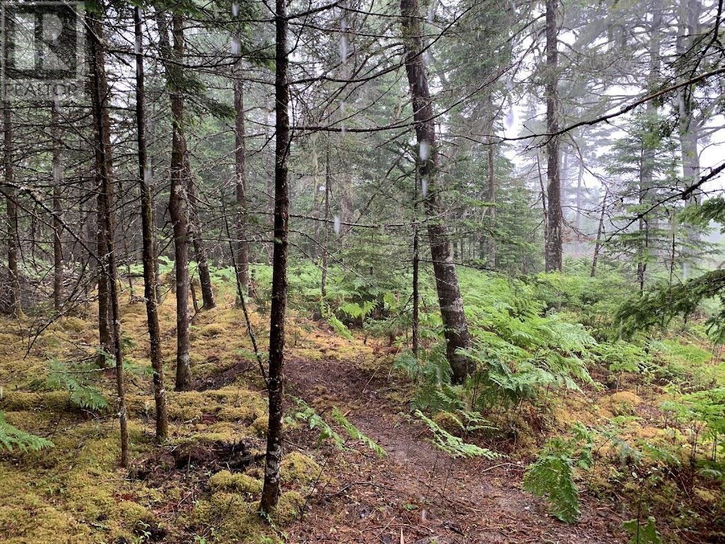 Lot 1 Cabin Pleasant River Preserve, Pleasant River, Nova Scotia  B0T 1X0 - Photo 28 - 202419289