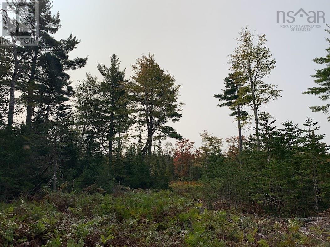 Lot 1 Cabin Pleasant River Preserve, Pleasant River, Nova Scotia  B0T 1X0 - Photo 21 - 202419289