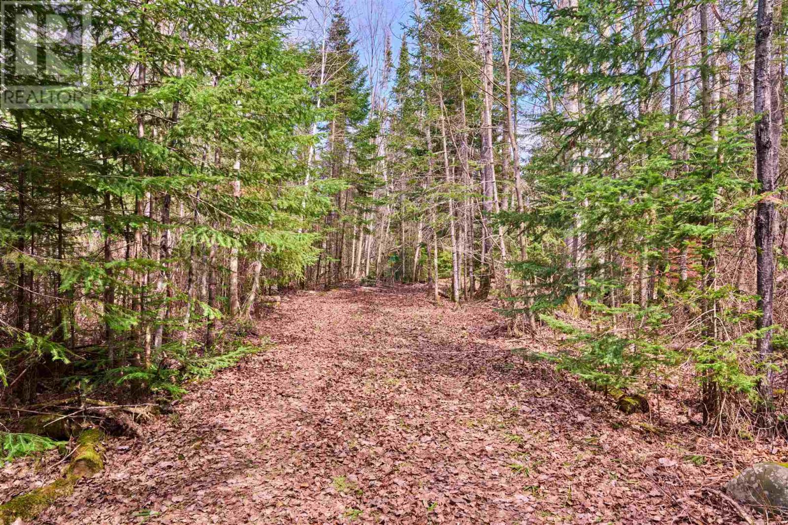 Lot 47 Bay Road, Goulais River, Ontario  P0S 1E0 - Photo 14 - SM262200