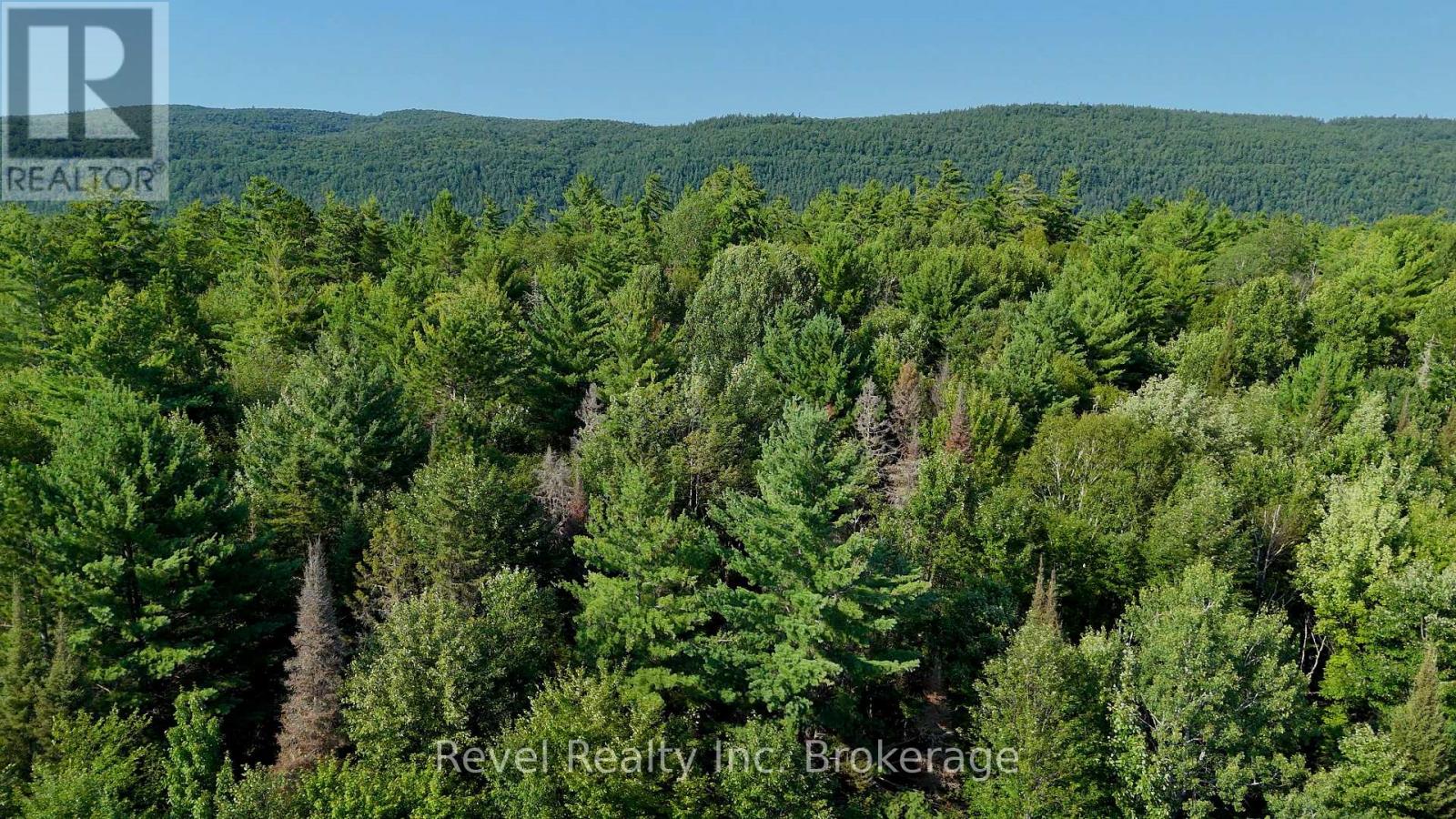 Pcl 13895 Sec Nip; Lt 5 Highway 17 E, Papineau-Cameron, Ontario  P0H 1V0 - Photo 11 - X13726750