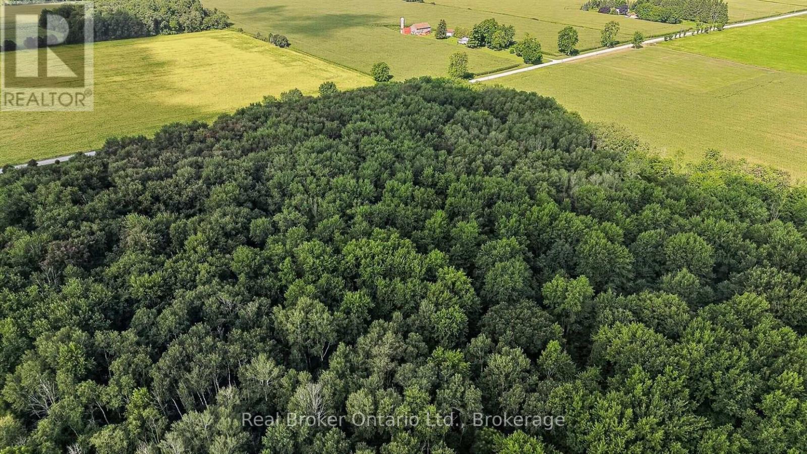 785729 Oxford Road 33 Road, East Zorra-Tavistock, Ontario  N0J 1M0 - Photo 16 - X13726610