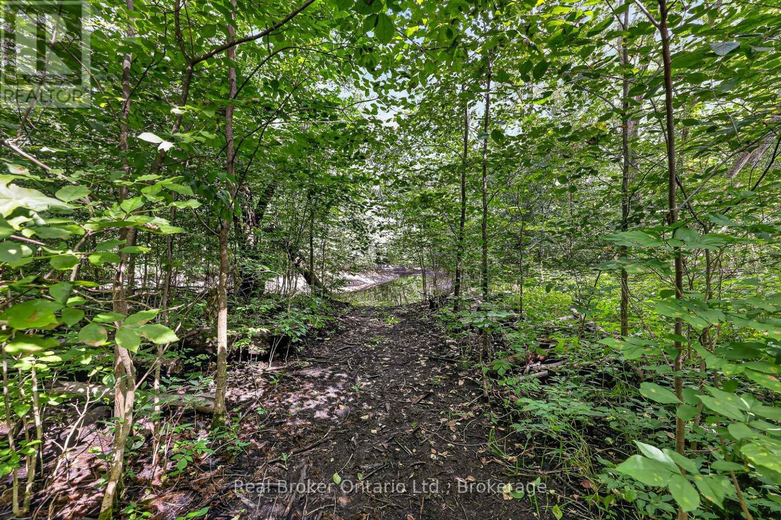 785729 Oxford Road 33 Road, East Zorra-Tavistock, Ontario  N0J 1M0 - Photo 29 - X13726610