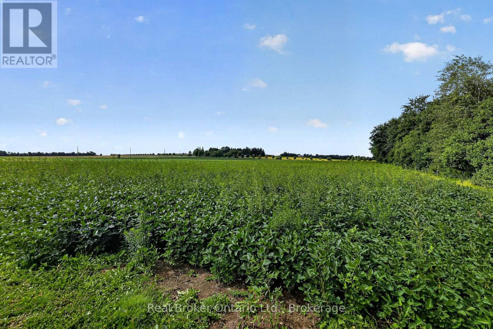 785729 Oxford Road 33 Road, East Zorra-Tavistock, Ontario  N0J 1M0 - Photo 38 - X13726610