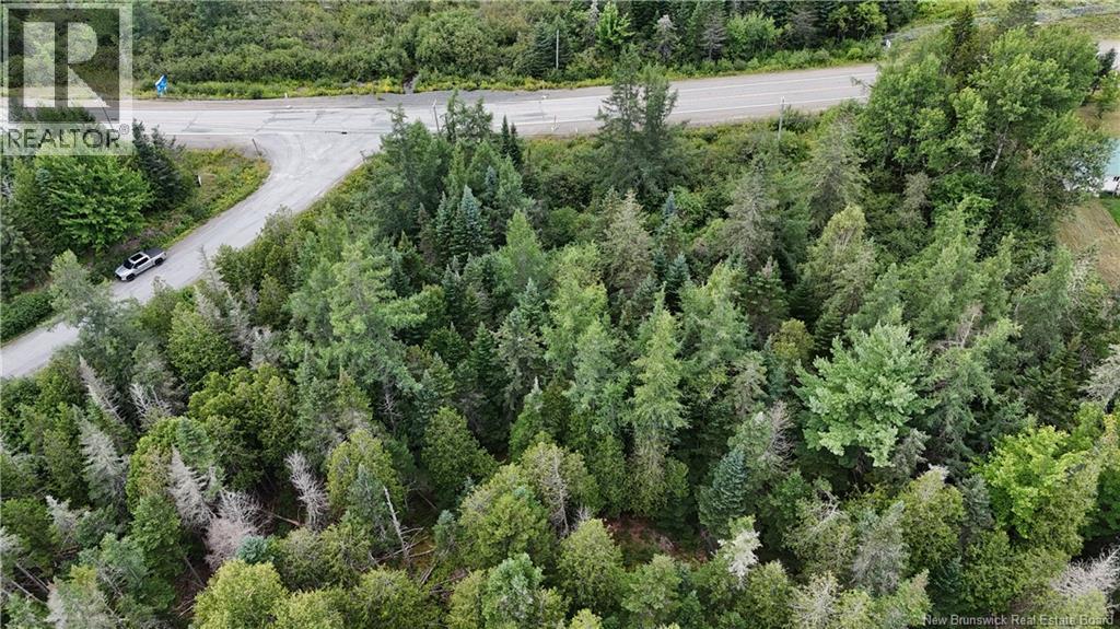 0 Route 127, Bocabec, New Brunswick  E5B 3J8 - Photo 5 - NB133537