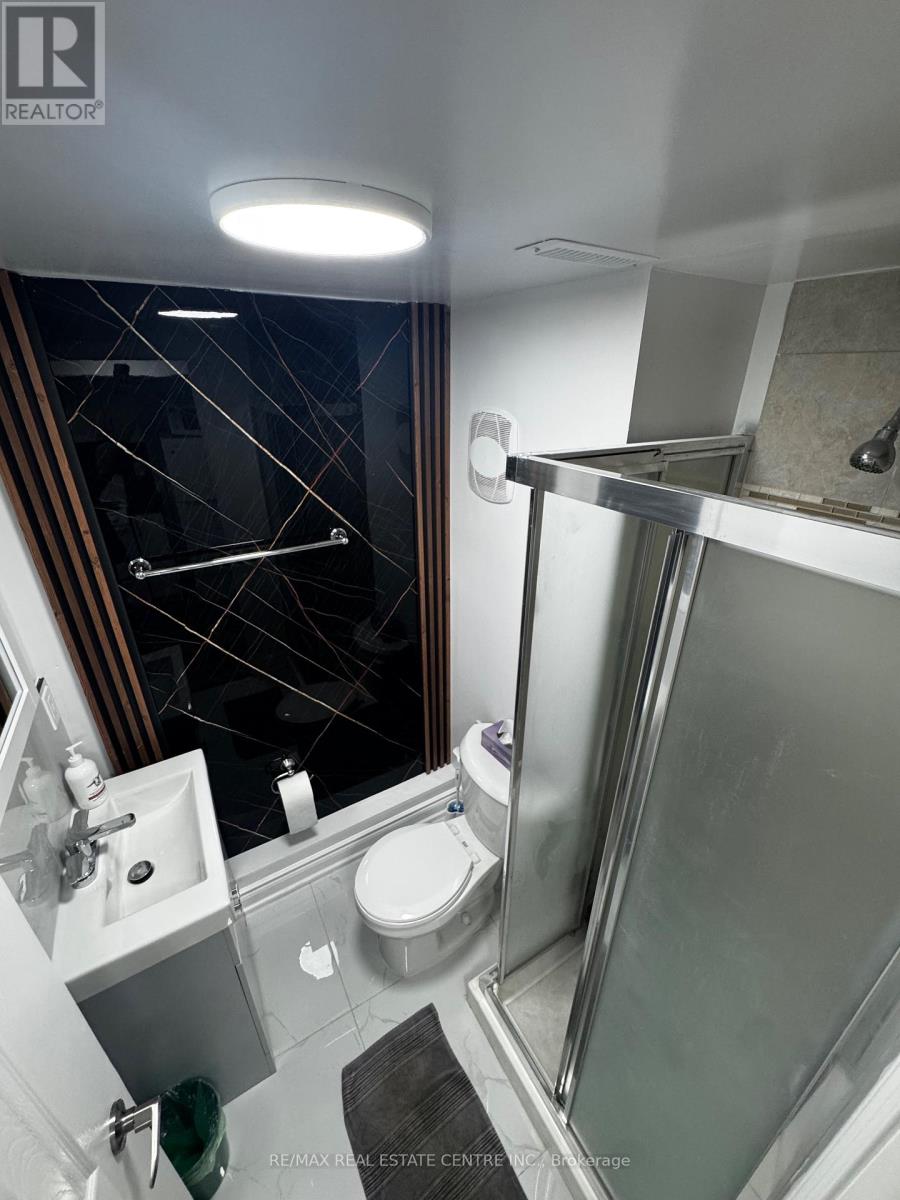 Lower Level - 1025 Blairholm Avenue, Mississauga, Ontario  L5C 1G5 - Photo 13 - W13726888