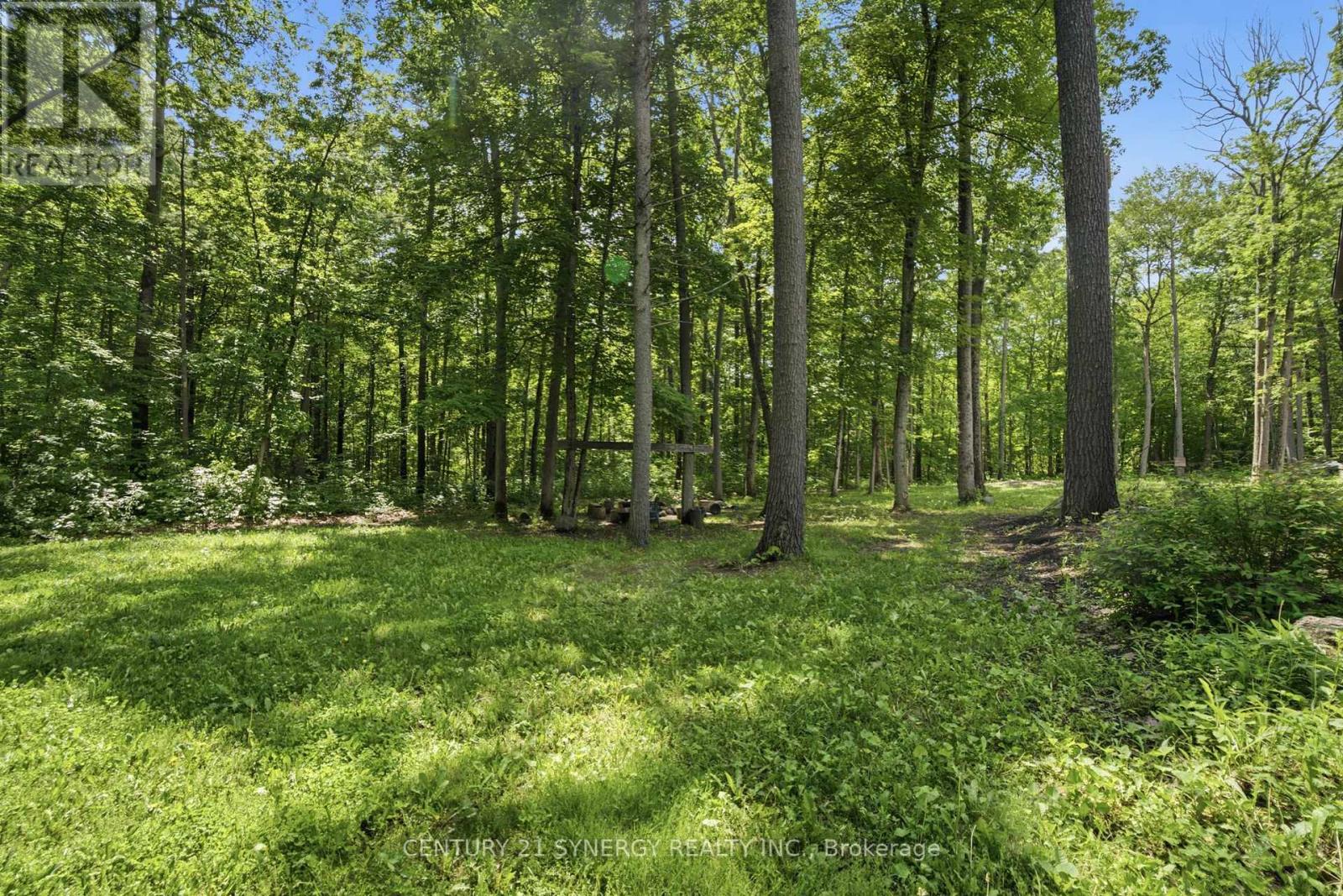 376 Gallivan Road, Quinte West, Ontario  K0K 3E0 - Photo 43 - X13496770