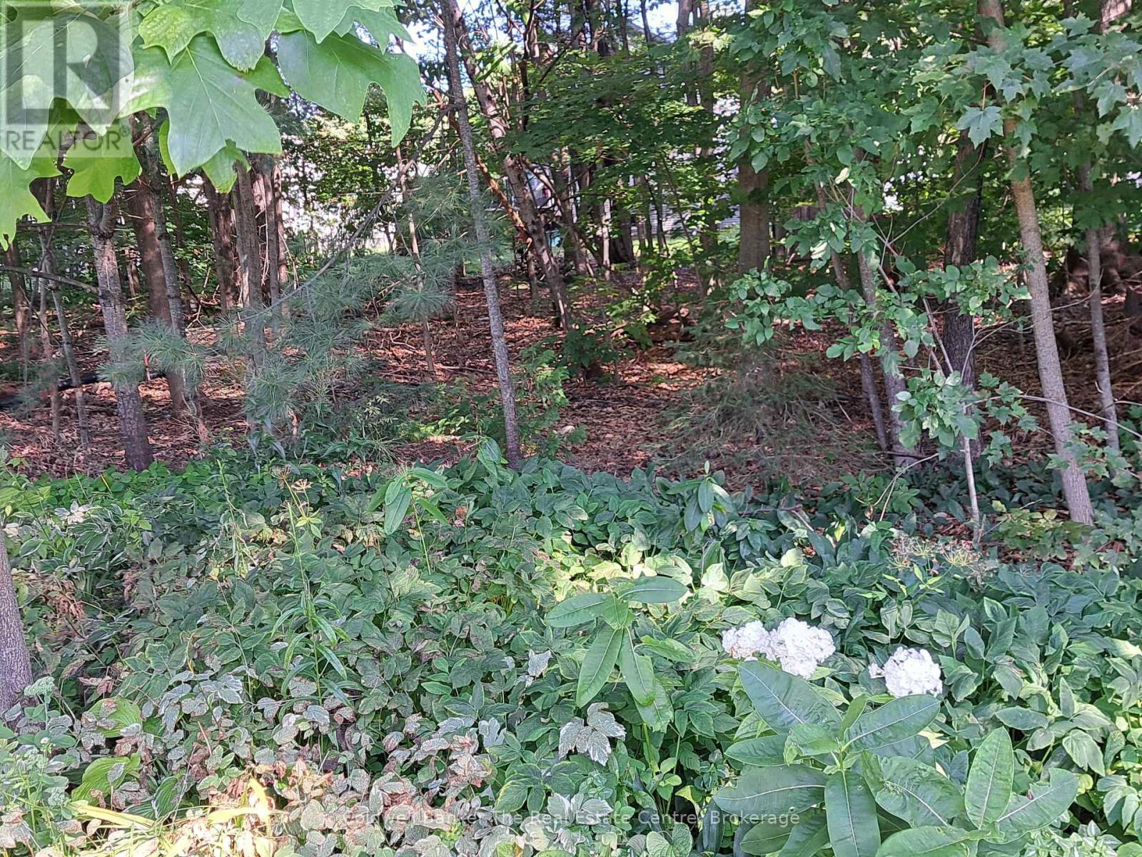 76 Pine Ridge Gate, Gravenhurst, Ontario P1P 1Y4 - Photo 24 - X13727000