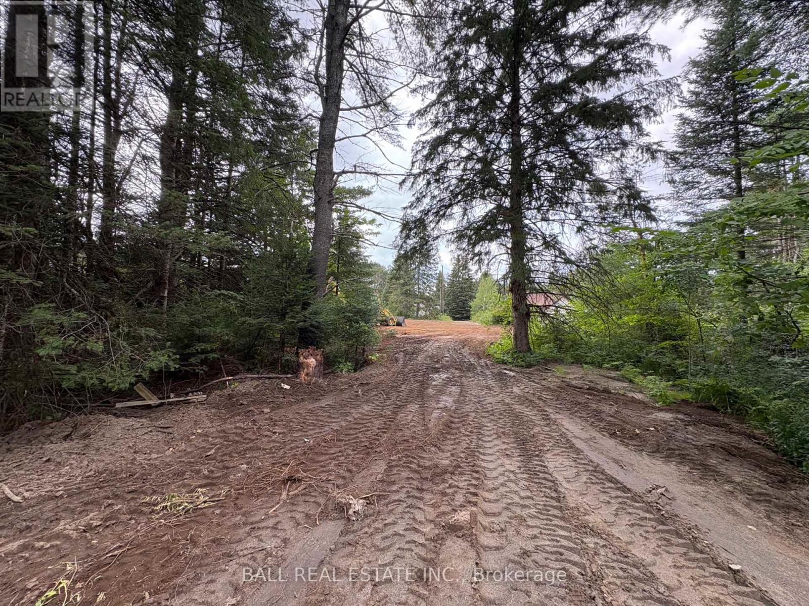 0 The Avenue, Kawartha Lakes, Ontario  K0M 2A0 - Photo 9 - X13727320