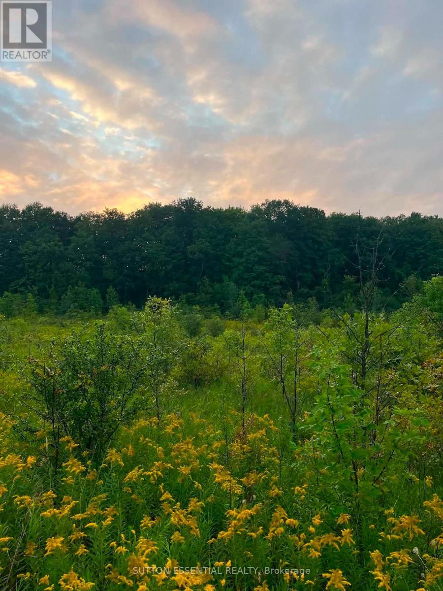 0 County 46 Road, Elizabethtown-Kitley, Ontario  K6V 5T3 - Photo 8 - X13727620