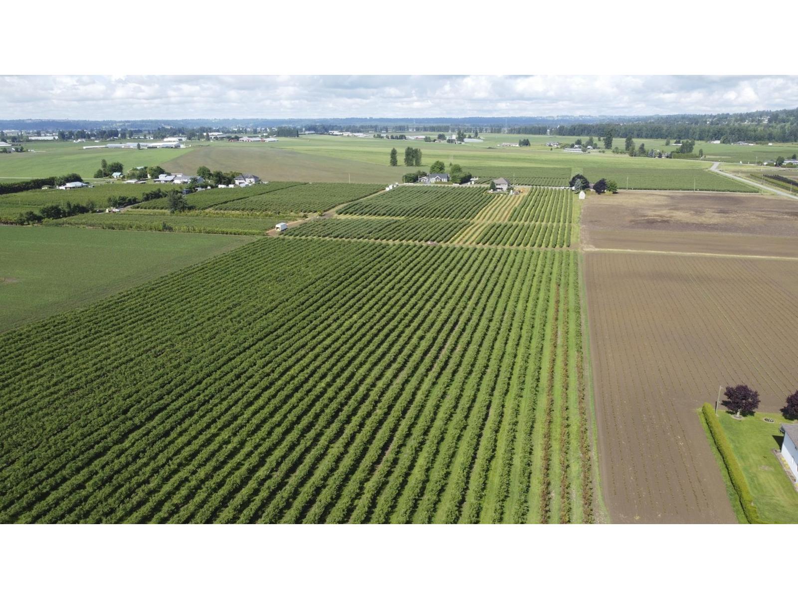 7121 Beharrell Road, Abbotsford, British Columbia  A9A 9A9 - Photo 6 - R3159659