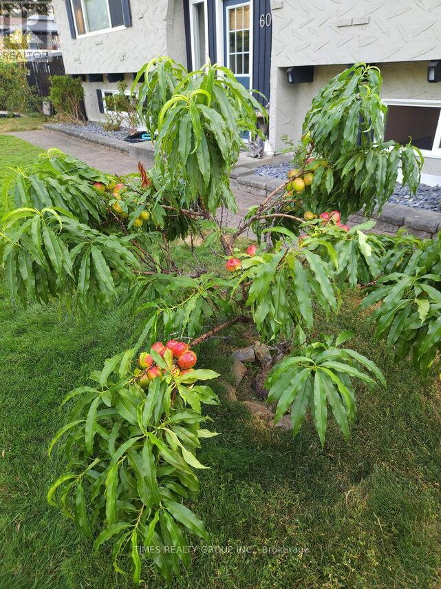 606 Gillis Avenue, Sicamous, British Columbia  V0E 2V0 - Photo 2 - X13727712