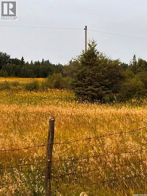 Fries Pasture, Leask Rm No. 464, Saskatchewan  S0J 1M0 - Photo 6 - SK046576