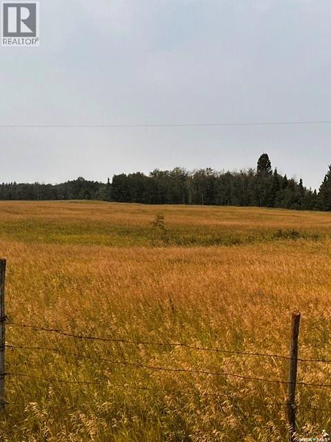 Fries Pasture, Leask Rm No. 464, Saskatchewan  S0J 1M0 - Photo 4 - SK046576