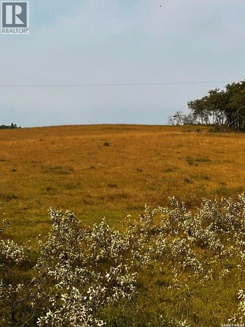 Fries Pasture, Leask Rm No. 464, Saskatchewan  S0J 1M0 - Photo 11 - SK046576