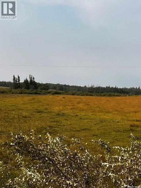 Fries Pasture, Leask Rm No. 464, Saskatchewan  S0J 1M0 - Photo 10 - SK046576