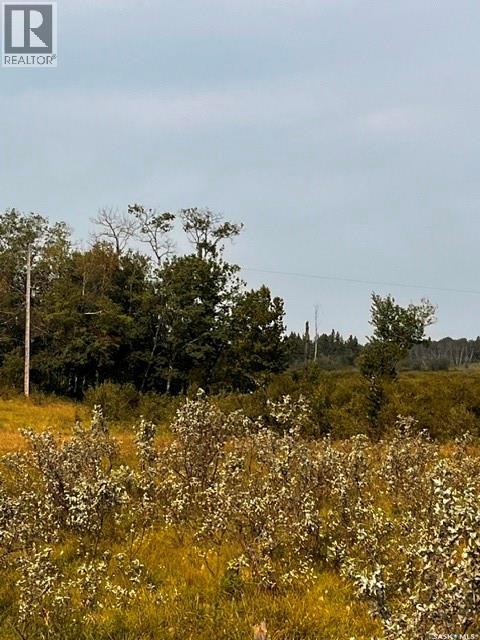 Fries Pasture, Leask Rm No. 464, Saskatchewan  S0J 1M0 - Photo 12 - SK046576