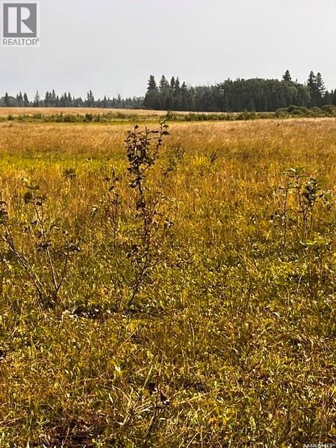 Fries Pasture, Leask Rm No. 464, Saskatchewan  S0J 1M0 - Photo 15 - SK046576