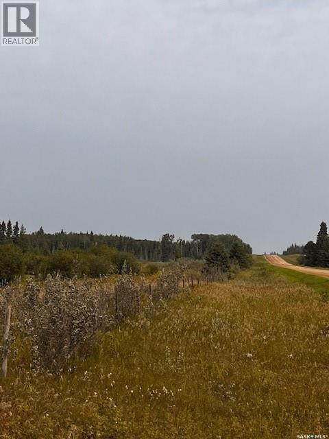 Fries Pasture, Leask Rm No. 464, Saskatchewan  S0J 1M0 - Photo 7 - SK046576