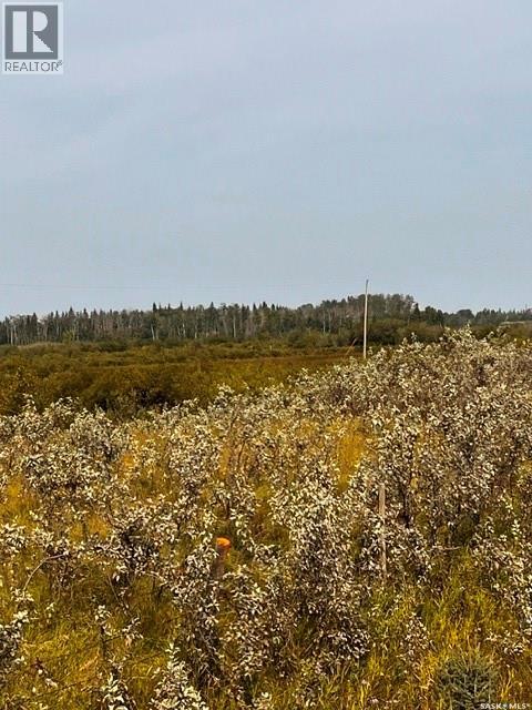 Fries Pasture, Leask Rm No. 464, Saskatchewan  S0J 1M0 - Photo 13 - SK046576