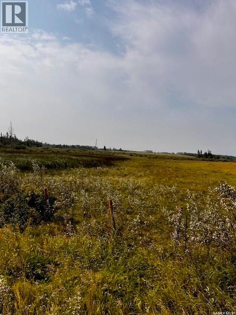 Fries Pasture, Leask Rm No. 464, Saskatchewan  S0J 1M0 - Photo 8 - SK046576
