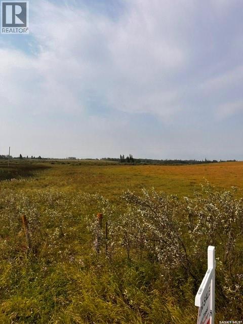 Fries Pasture, Leask Rm No. 464, Saskatchewan  S0J 1M0 - Photo 9 - SK046576
