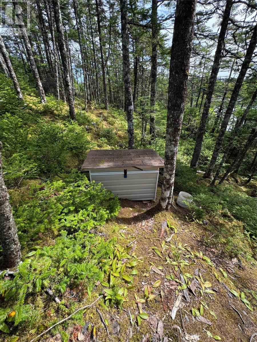 0 Twin Gullies Pond, Brigus Junction — photo 21