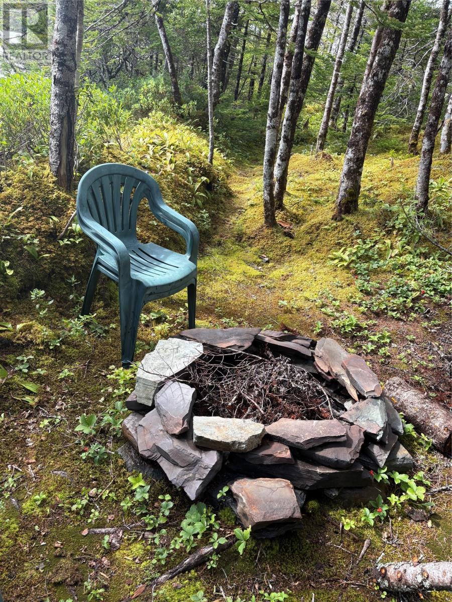 0 Twin Gullies Pond, Brigus Junction — photo 24