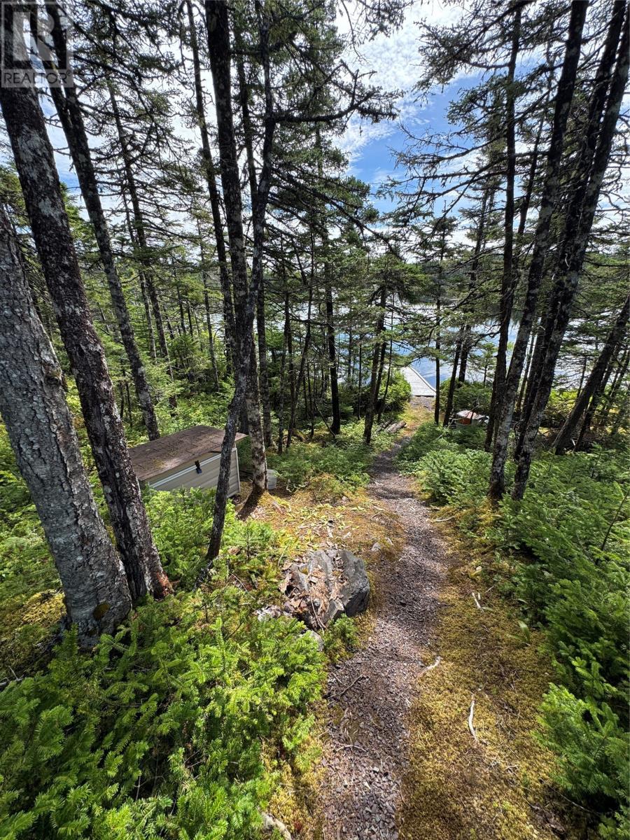 0 Twin Gullies Pond, Brigus Junction — photo 25