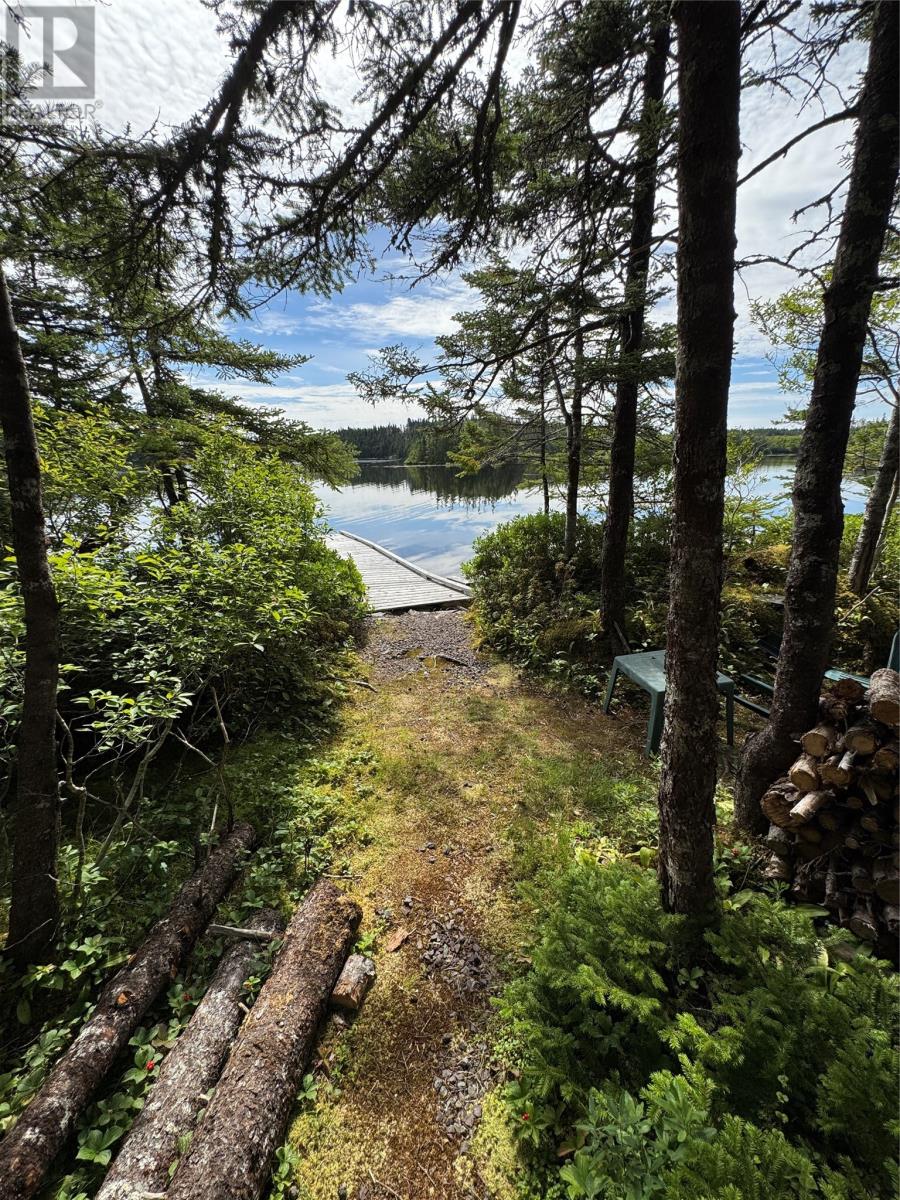0 Twin Gullies Pond, Brigus Junction — photo 26