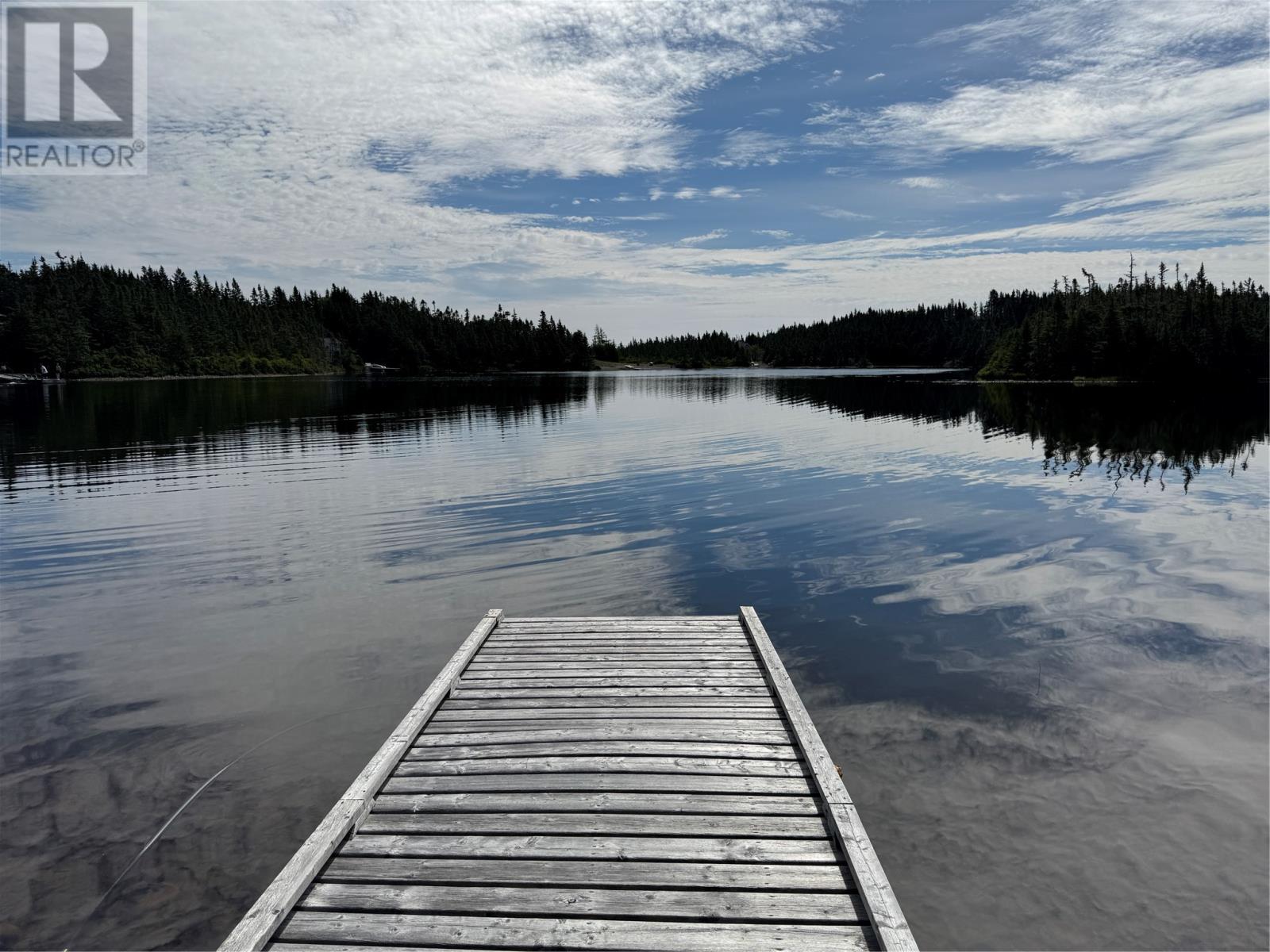 0 Twin Gullies Pond, Brigus Junction — photo 27