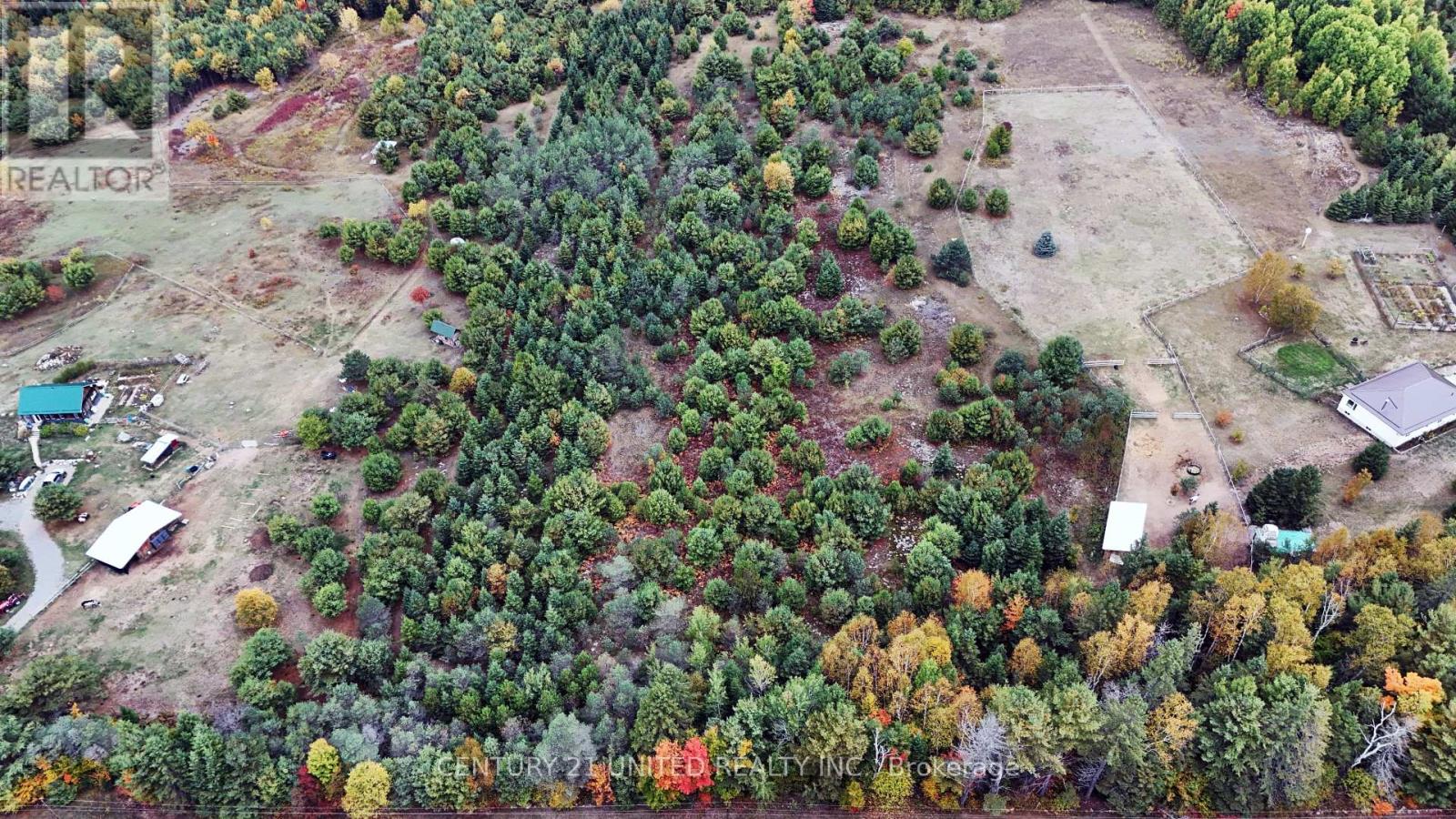 0 Mclean Road, Hastings Highlands, Ontario  K0L 2R0 - Photo 5 - X13728012