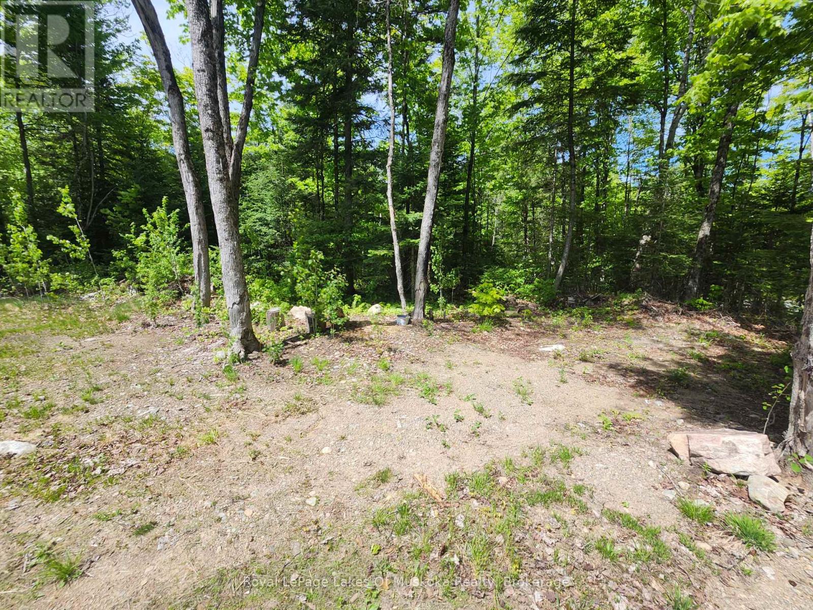 3997 Chetwynd Road, Kearney, Ontario  P0A 1M0 - Photo 22 - X13257512
