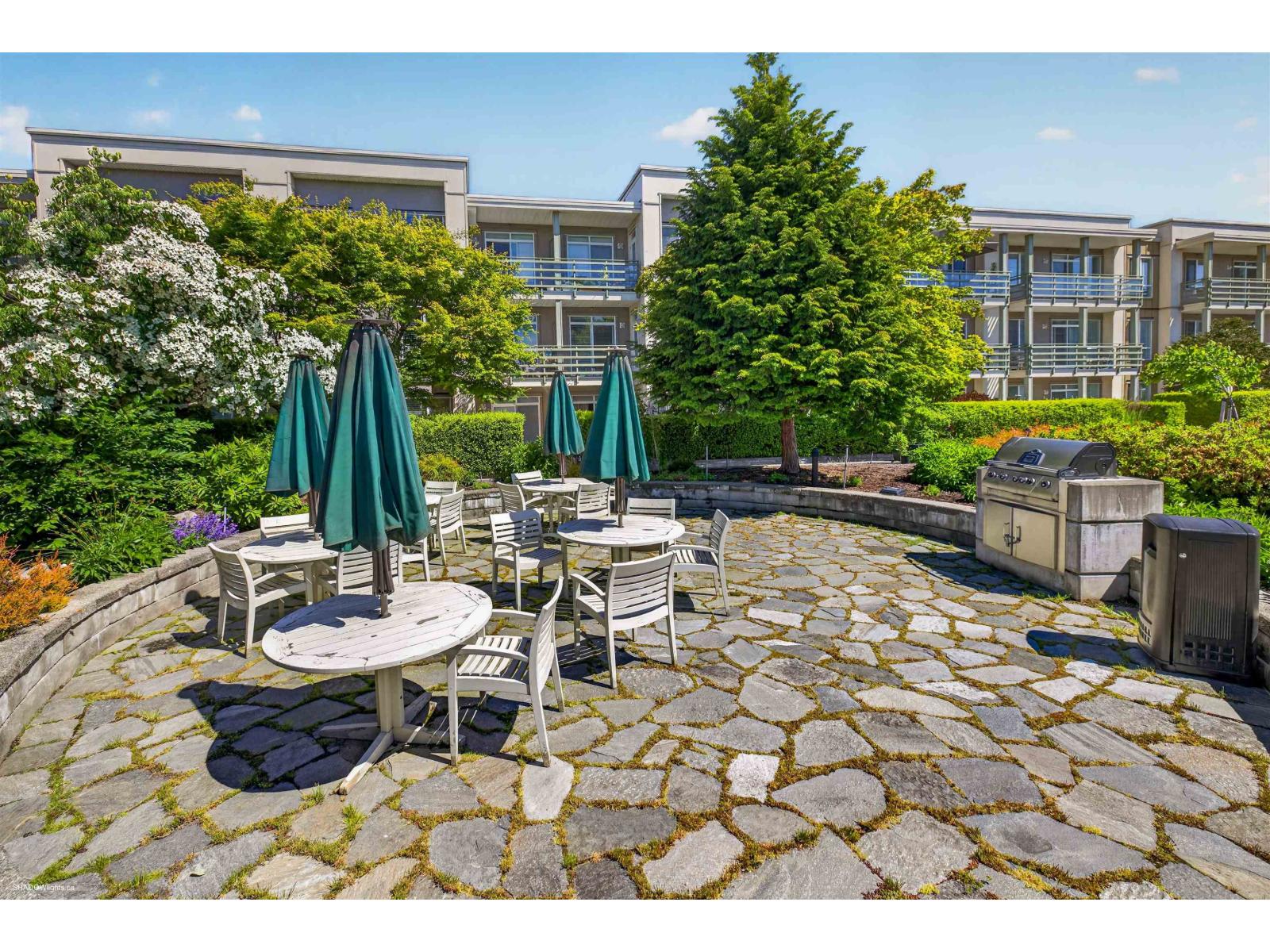 456 15850 26 Avenue, Surrey, British Columbia  V3Z 2N6 - Photo 23 - R3159802