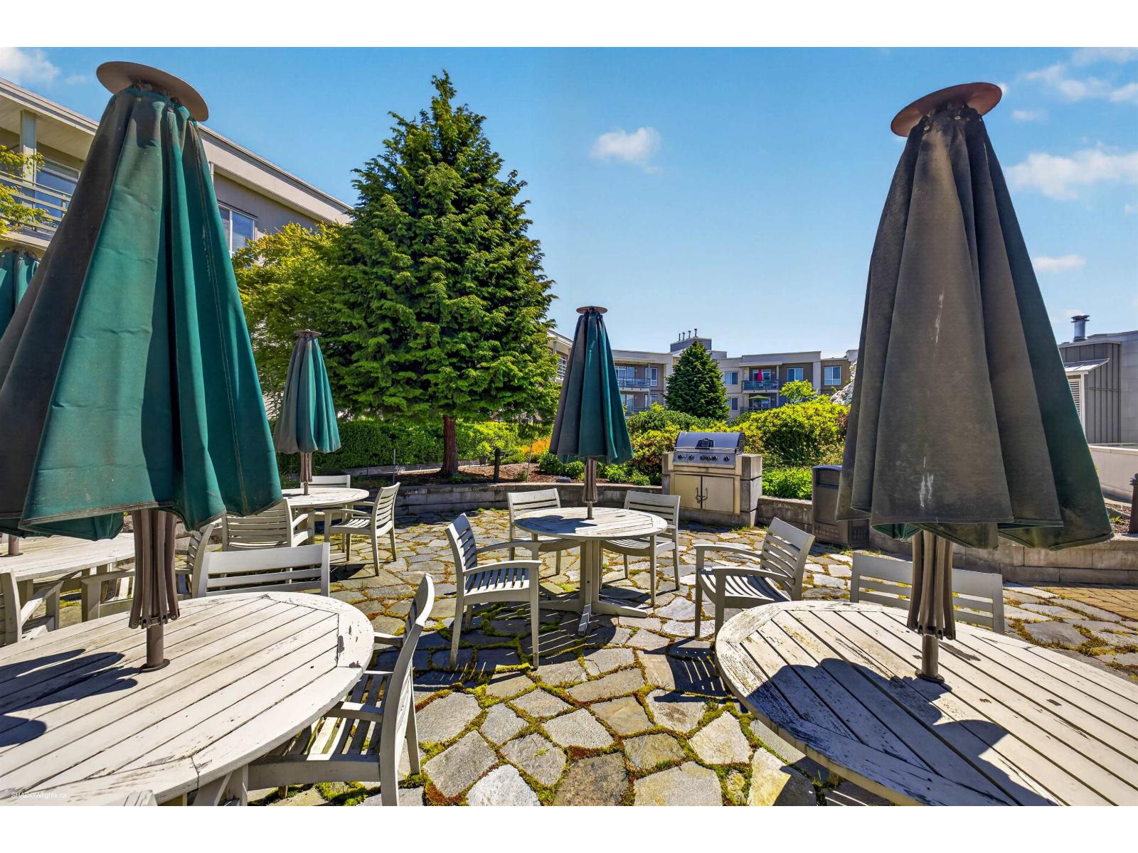 456 15850 26 Avenue, Surrey, British Columbia  V3Z 2N6 - Photo 24 - R3159802