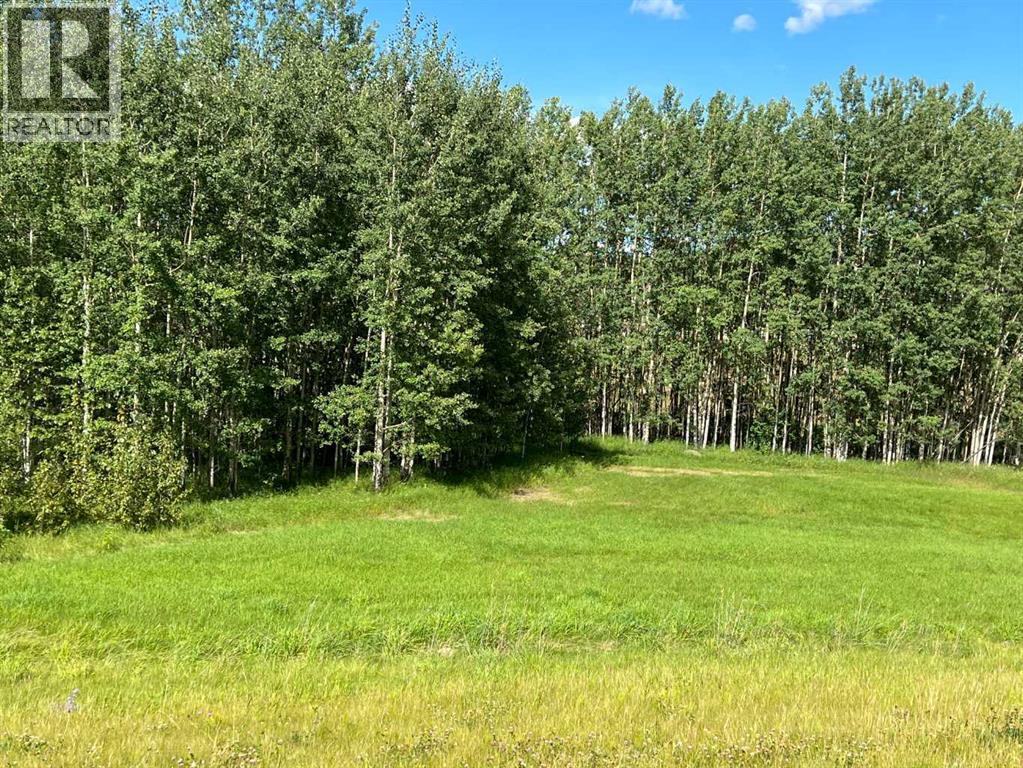 #43 River Ridge Estates, Rural Yellowhead County, Alberta  T7E 3A6 - Photo 12 - A2273500