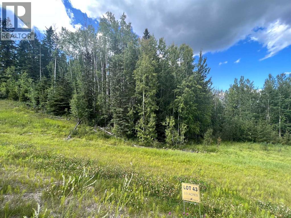 #43 River Ridge Estates, Rural Yellowhead County, Alberta  T7E 3A6 - Photo 6 - A2273500