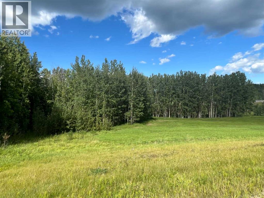 #43 River Ridge Estates, Rural Yellowhead County, Alberta  T7E 3A6 - Photo 8 - A2273500