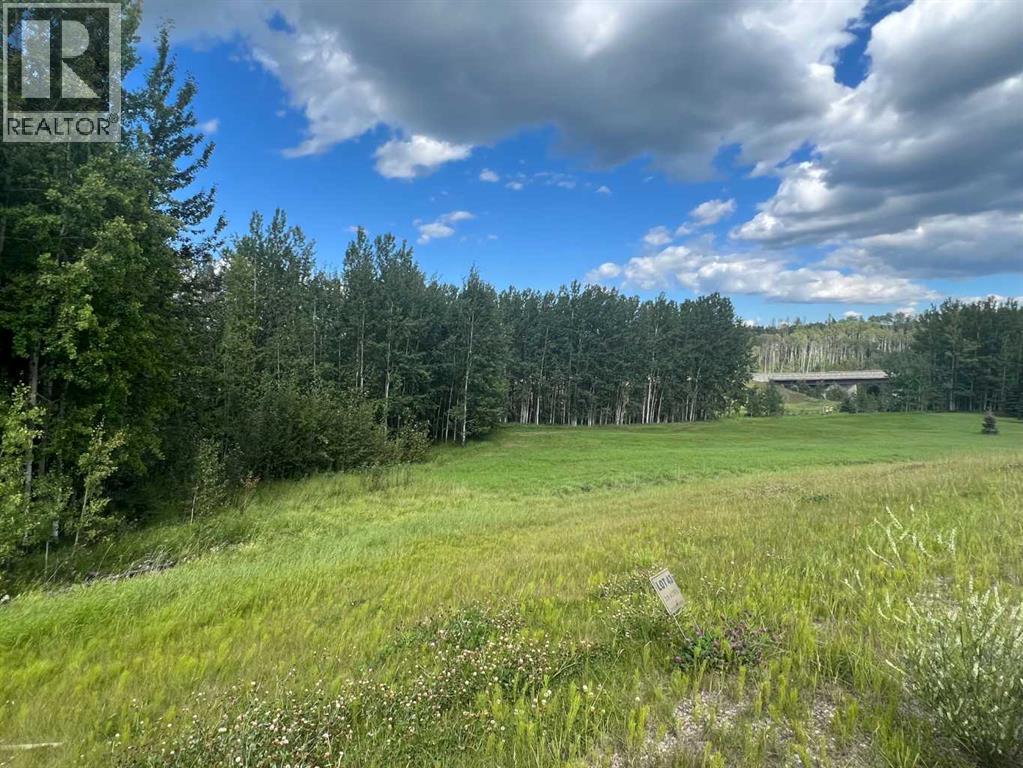 #43 River Ridge Estates, Rural Yellowhead County, Alberta  T7E 3A6 - Photo 4 - A2273500