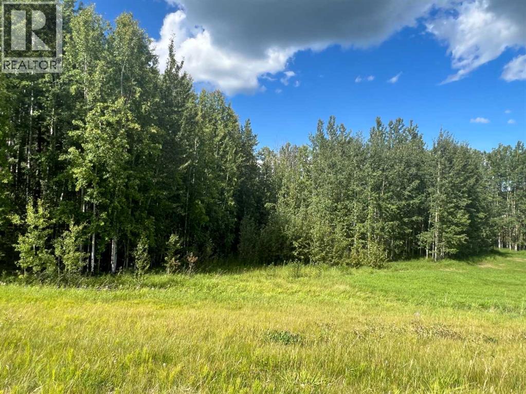 #43 River Ridge Estates, Rural Yellowhead County, Alberta  T7E 3A6 - Photo 9 - A2273500