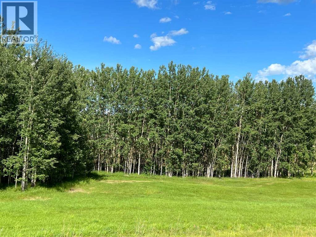 #43 River Ridge Estates, Rural Yellowhead County, Alberta  T7E 3A6 - Photo 11 - A2273500