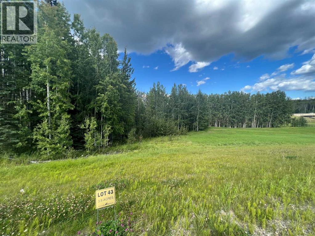#43 River Ridge Estates, Rural Yellowhead County, Alberta  T7E 3A6 - Photo 7 - A2273500
