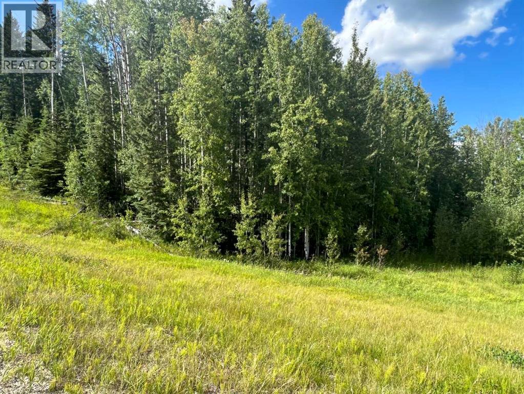 #43 River Ridge Estates, Rural Yellowhead County, Alberta  T7E 3A6 - Photo 10 - A2273500