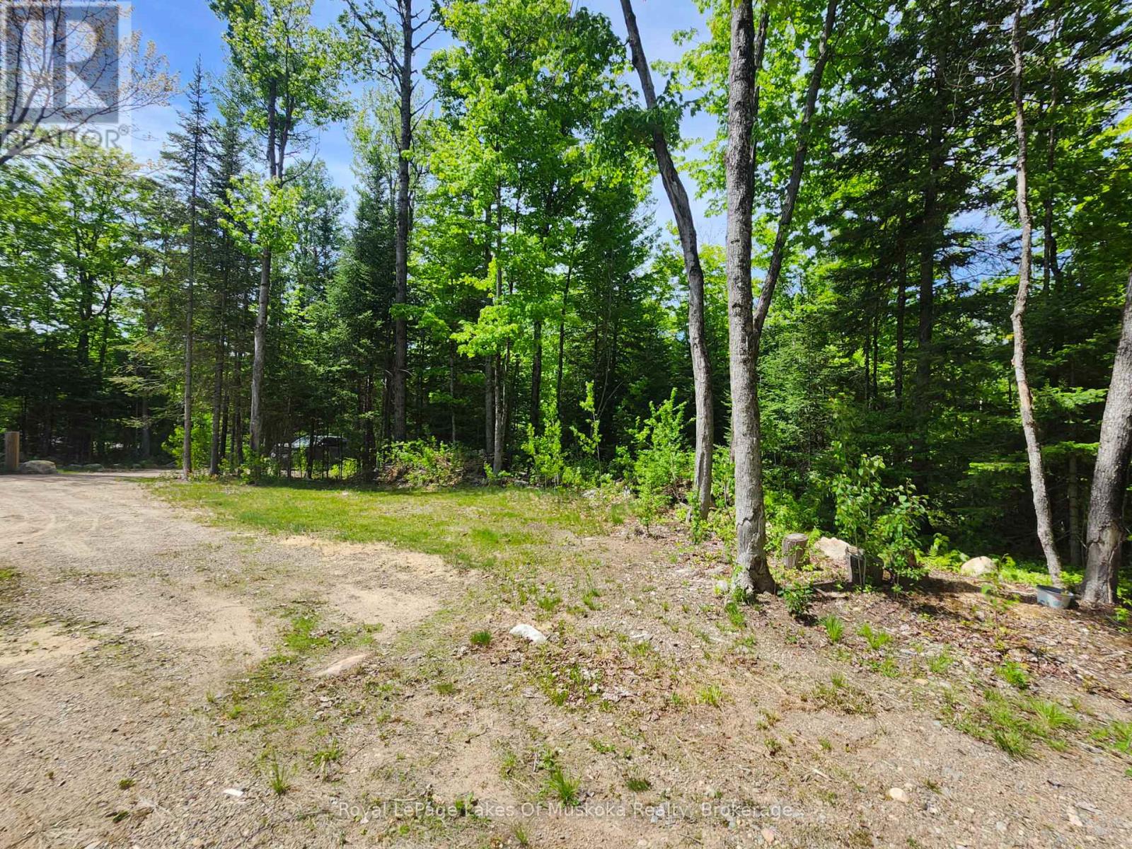 3997 Chetwynd Road, Kearney, Ontario  P0A 1M0 - Photo 12 - X13257512