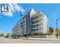 303 22226 BROWN AVENUE, Maple Ridge, British Columbia