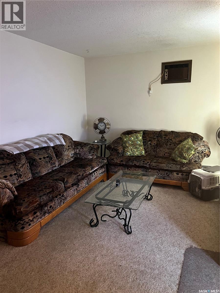 250 Home Street W, Moose Jaw, Saskatchewan  S6H 7H8 - Photo 42 - SK047059